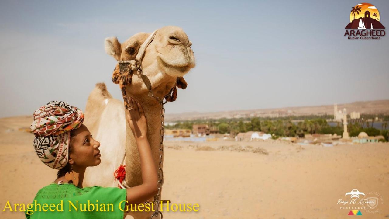 Apartamento Nubian Kingdom Aragheed House Asuán Exterior foto