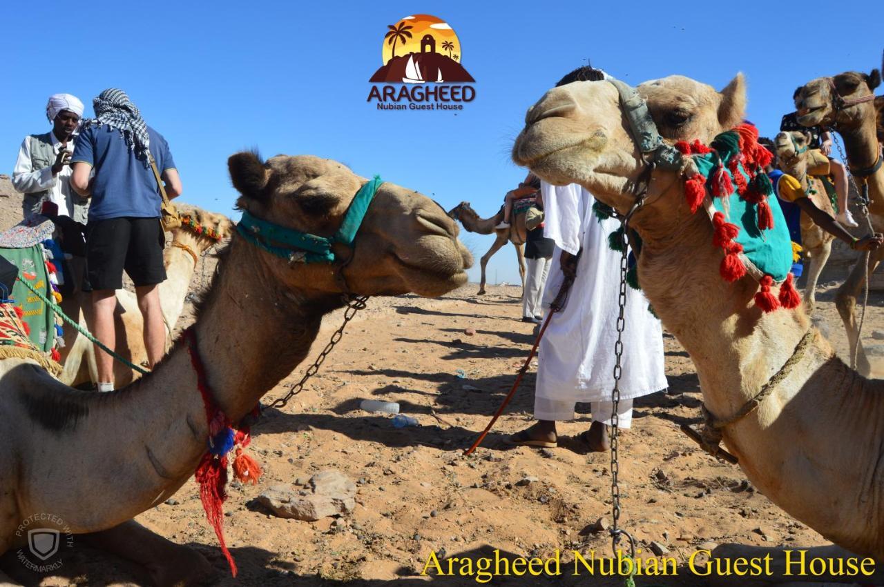 Apartamento Nubian Kingdom Aragheed House Asuán Exterior foto