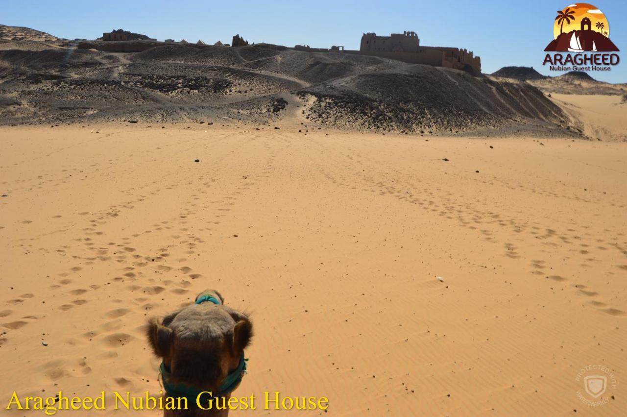Apartamento Nubian Kingdom Aragheed House Asuán Exterior foto